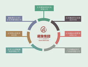 藏象集團(tuán) 引領(lǐng)網(wǎng)絡(luò)技術(shù)服務(wù)新紀(jì)元，賦能企業(yè)數(shù)字化轉(zhuǎn)型